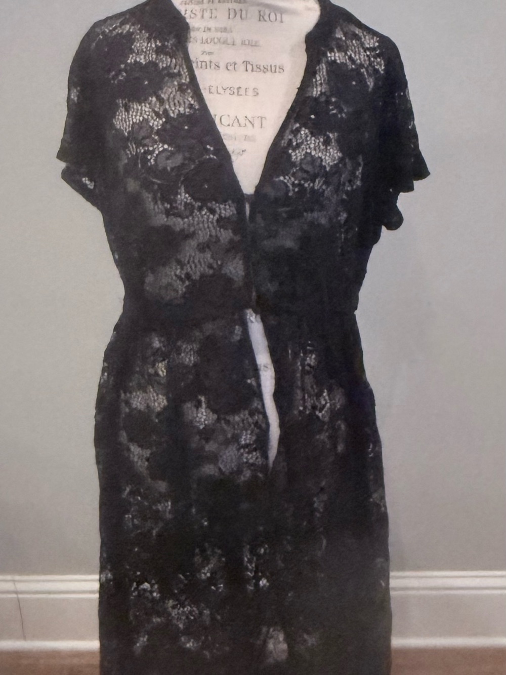 torrid Black Floral Lace Sheer Robe